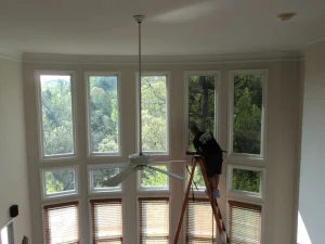 Environmental Effects of Window Tinting