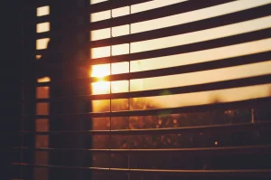 Window Tinting vs. Window Blinds
