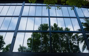 Window Tinting: Enhancing Aesthetics and Branding