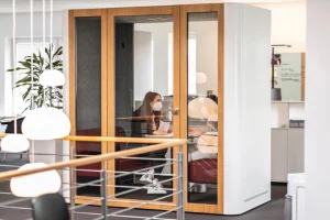 Role of Window Tinting in Reducing Office Noise and Distractions